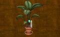 Potted Plant.jpg